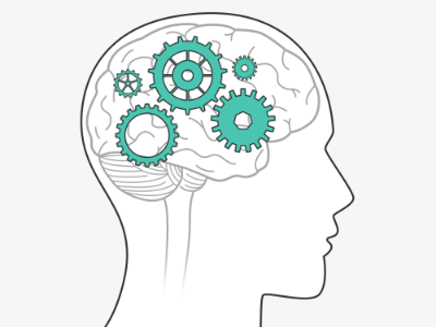 Trainer Cognitive Bias